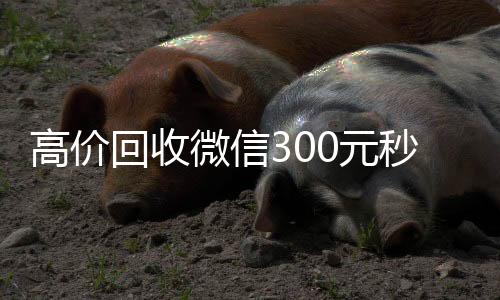 高价回收微信30回收微信号0元秒结（高价24小时回收微信）